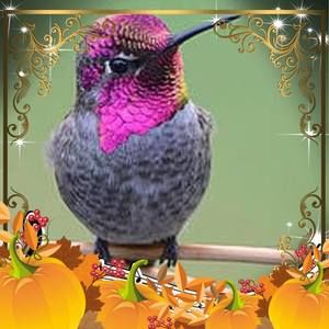 Meet your Posher, Martha